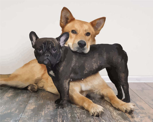 Malen nach Zahlen - Malen nach Zahlen - Hundepaar