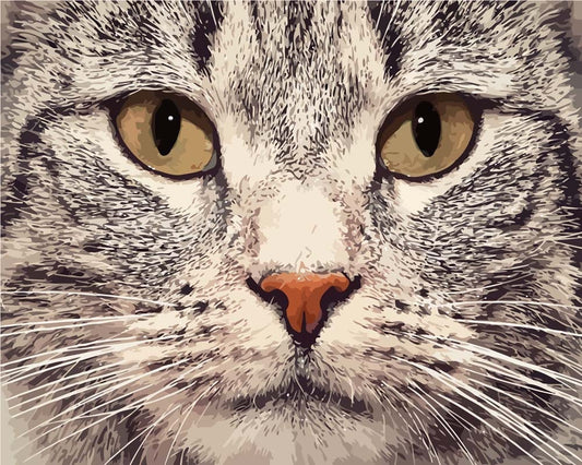 Malen nach Zahlen - Malen nach Zahlen - Katze Portrait nah