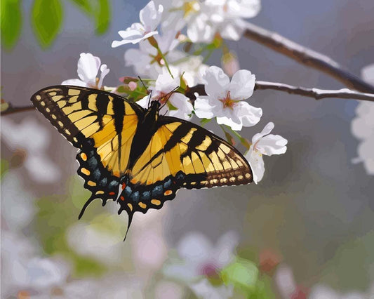 Malen nach Zahlen - Malen nach Zahlen - Monarch Schmetterling - Gelb