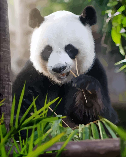 Malen nach Zahlen - Malen nach Zahlen - Panda am essen