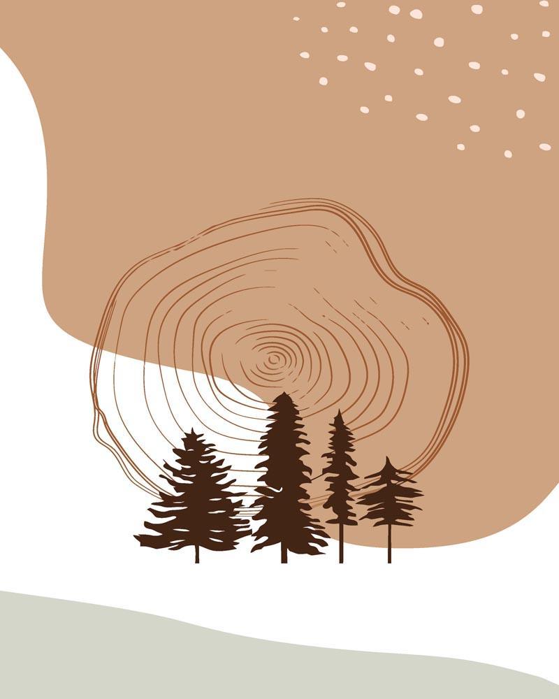Malen nach Zahlen - Malen nach Zahlen - Wilder Wald 16