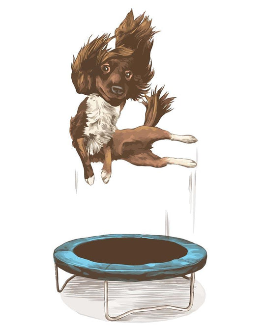 Malen nach Zahlen - Malen nach Zahlen - Hund auf dem Trampolin