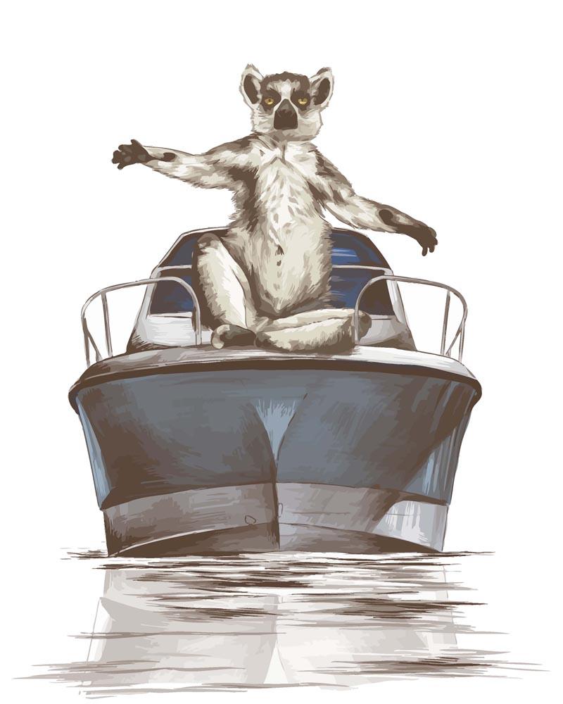 Malen nach Zahlen - Malen nach Zahlen - Lemur auf dem Boot