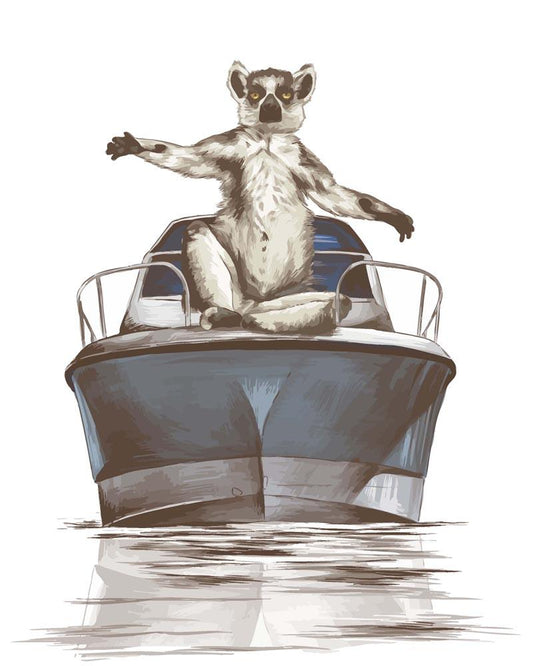 Malen nach Zahlen - Malen nach Zahlen - Lemur auf dem Boot
