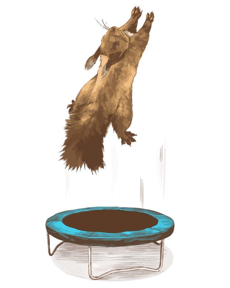 Malen nach Zahlen - Malen nach Zahlen - Eichhörnchen auf dem Trampolin