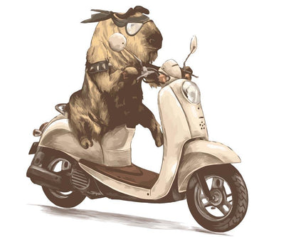 Malen nach Zahlen - Malen nach Zahlen - Bulle auf dem Motorroller