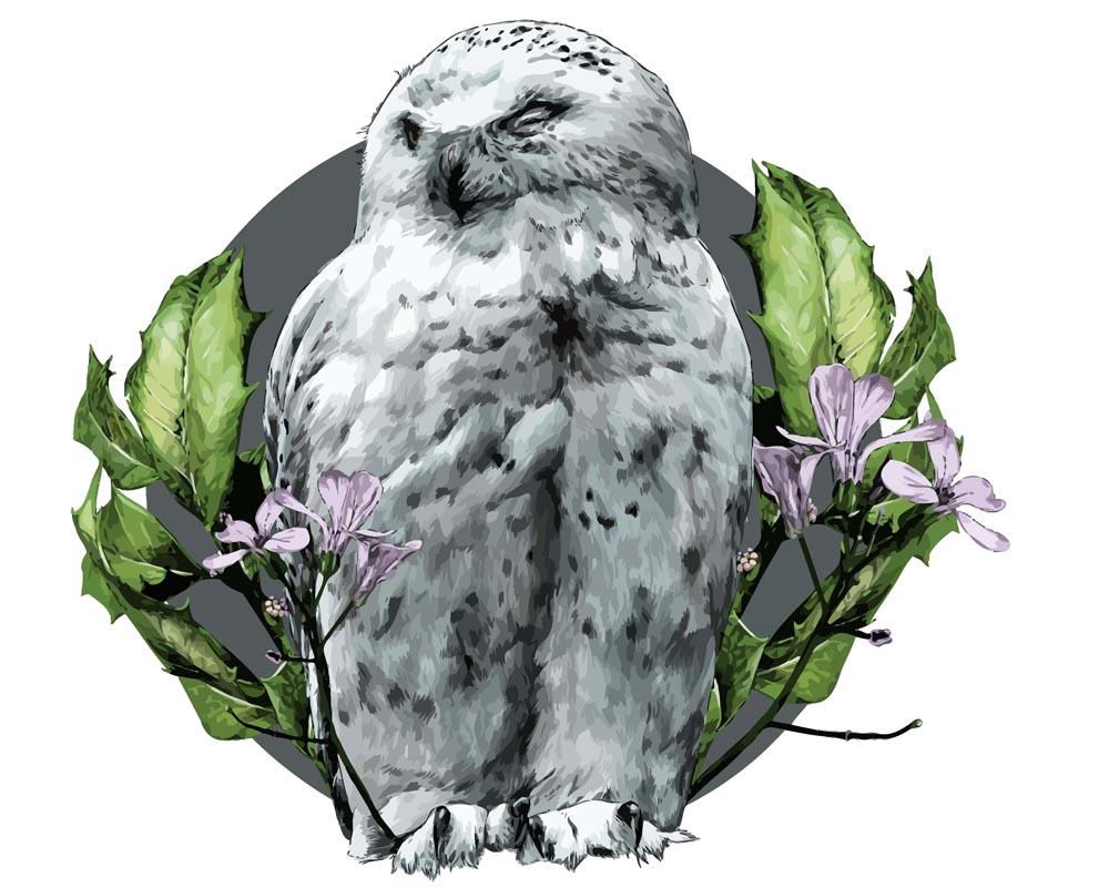Malen nach Zahlen - Malen nach Zahlen - Weiße Eule in Blumen