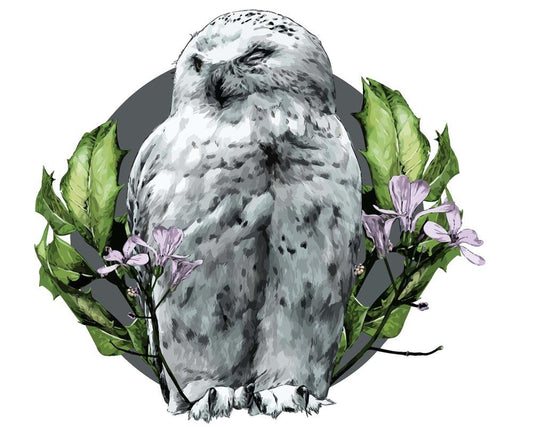 Malen nach Zahlen - Malen nach Zahlen - Weiße Eule in Blumen