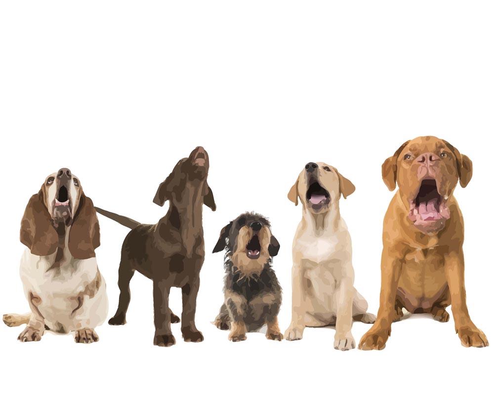 Malen nach Zahlen - Malen nach Zahlen - Hundegruppe am Jaulen