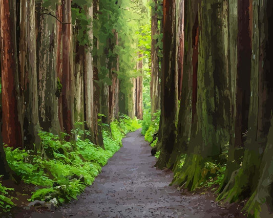 Malen nach Zahlen - Malen nach Zahlen - Togakushi Schrein in Japan