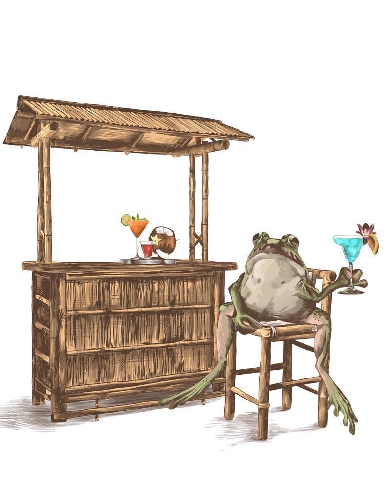 Malen nach Zahlen - Malen nach Zahlen - Frosch an der Bar