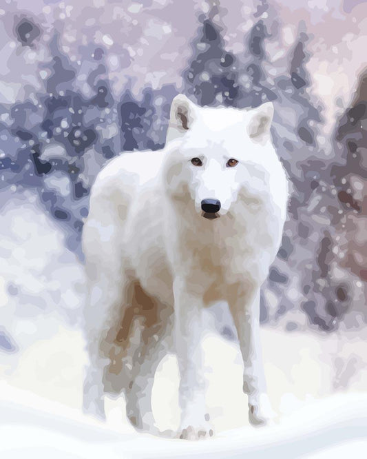 Malen nach Zahlen - Malen nach Zahlen - Polarwolf