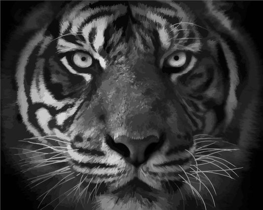 Malen nach Zahlen - Malen nach Zahlen - Tigerportrait - Beast
