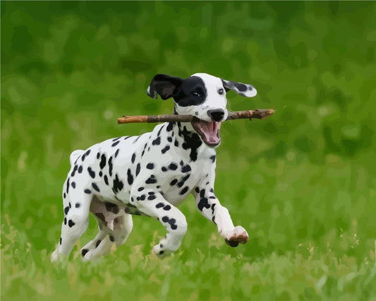 Malen nach Zahlen - Malen nach Zahlen - Dalmatinerhund