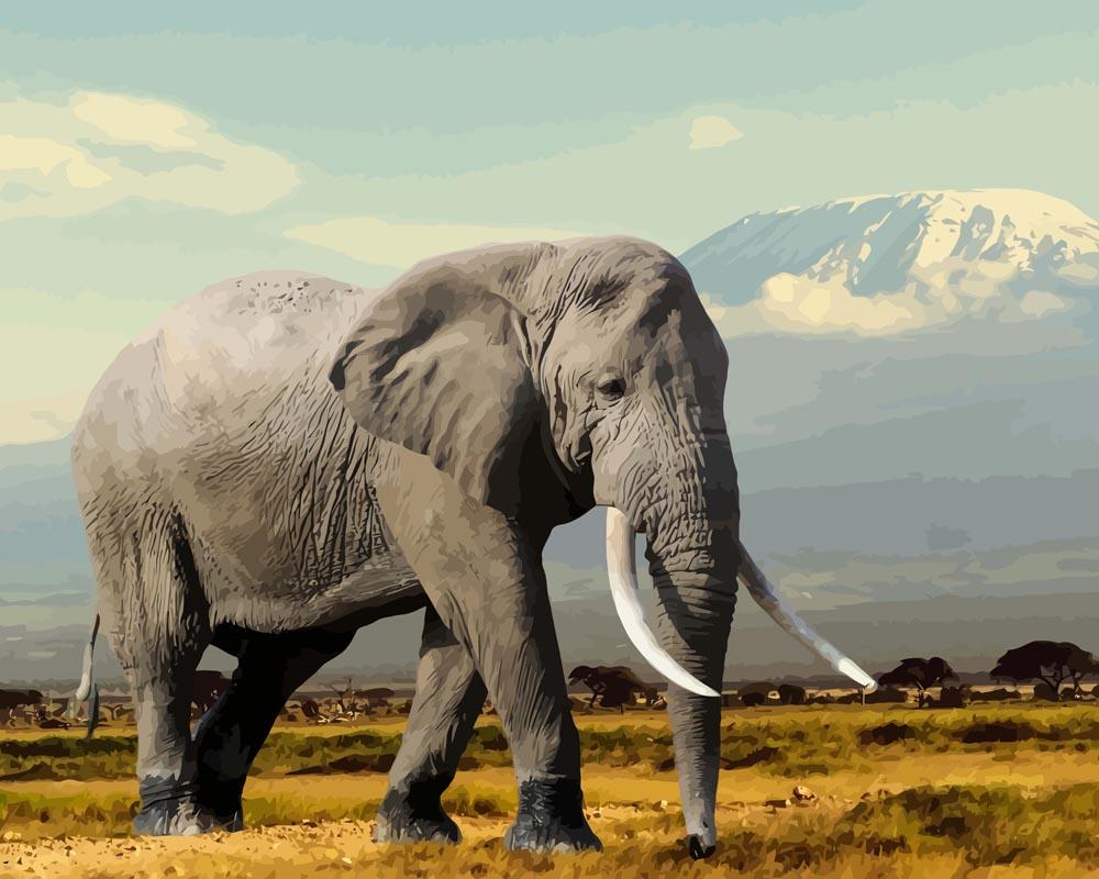 Malen nach Zahlen - Malen nach Zahlen - Elefant in den Bergen