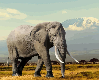 Malen nach Zahlen - Malen nach Zahlen - Elefant in den Bergen