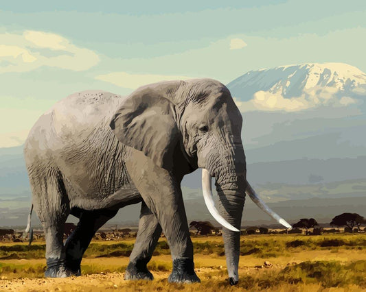 Malen nach Zahlen - Malen nach Zahlen - Elefant in den Bergen