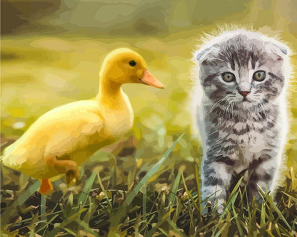 Malen nach Zahlen - Malen nach Zahlen - Ente spielt mit Katze