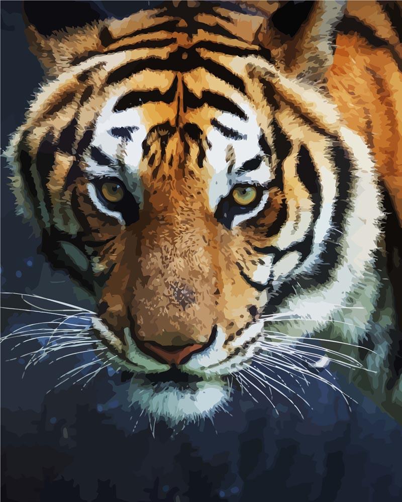 Malen nach Zahlen - Malen nach Zahlen - Gefährlicher Tiger