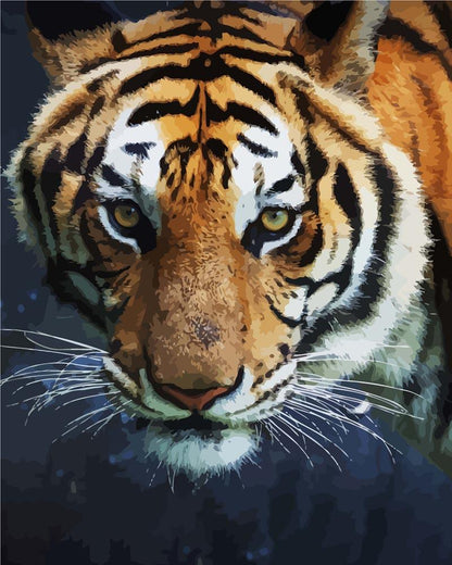 Malen nach Zahlen - Malen nach Zahlen - Gefährlicher Tiger