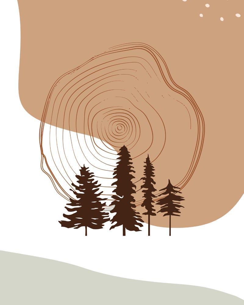 Malen nach Zahlen - Malen nach Zahlen - Wilder Wald 40