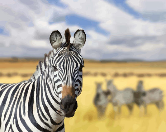 Malen nach Zahlen - Malen nach Zahlen - Zebra auf der Savanne in Afrika
