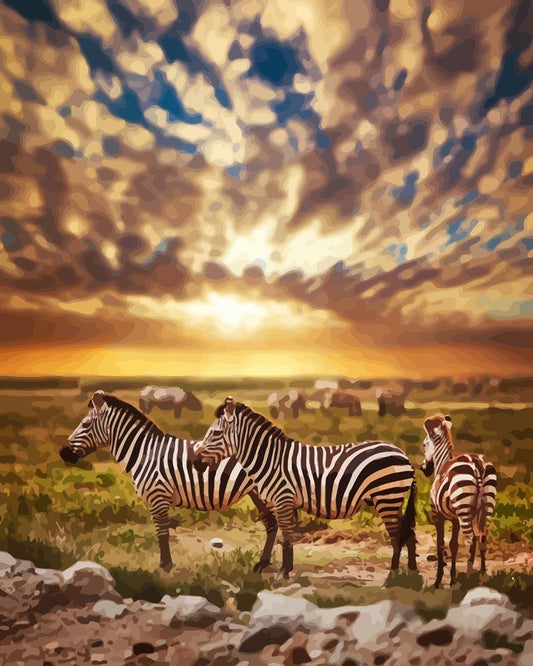Malen nach Zahlen - Malen nach Zahlen - Zebra Sonnenuntergang