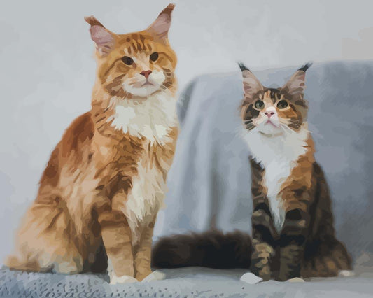 Malen nach Zahlen - Malen nach Zahlen - Zwei wunderschöne Katzen
