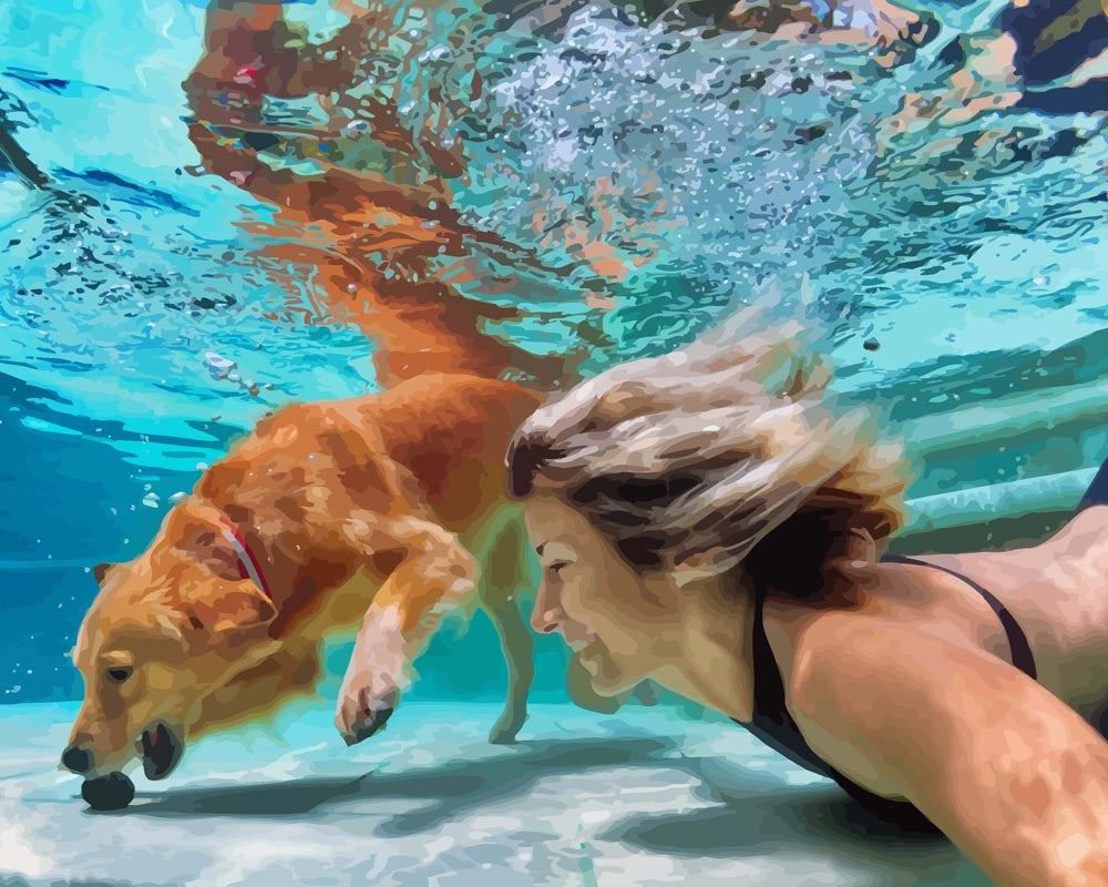 Malen nach Zahlen - Malen nach Zahlen - Hund und Frau Unterwasser