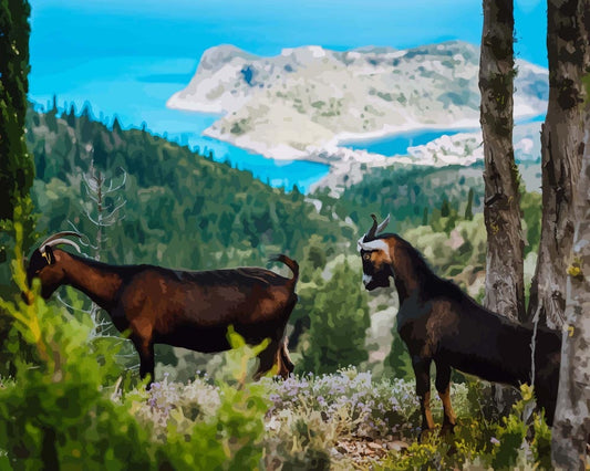 Malen nach Zahlen - Malen nach Zahlen - Zwei Ziegen - Goats
