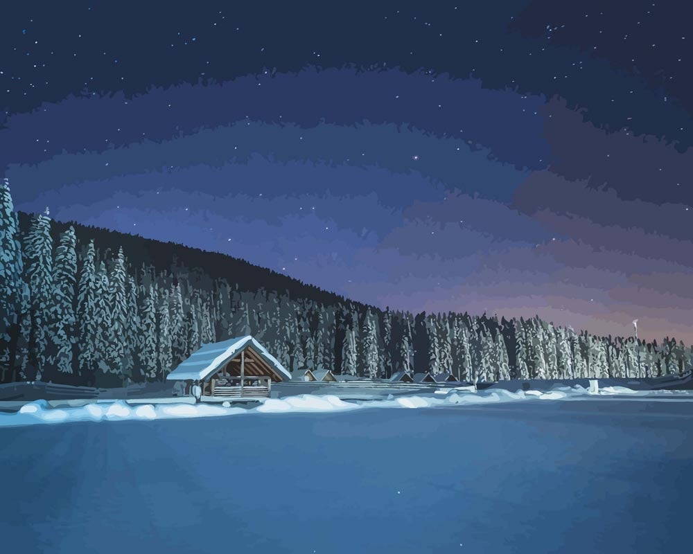 Malen nach Zahlen - Malen nach Zahlen - Winterwald bei Nacht