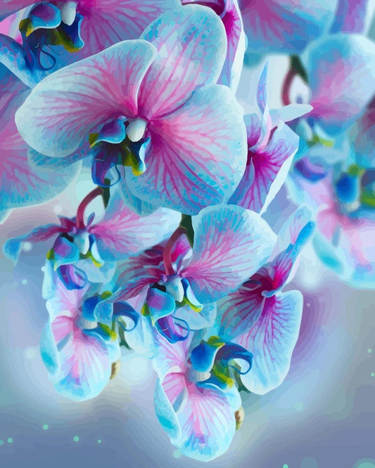 Malen nach Zahlen - Malen nach Zahlen - Blaue Orchideen