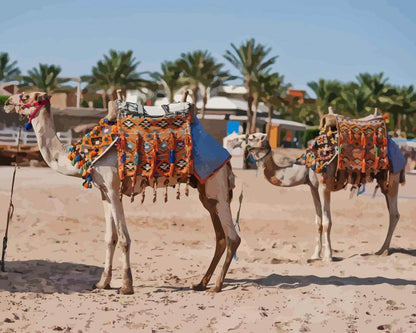 Malen nach Zahlen - Malen nach Zahlen - Kamele in Ägypten