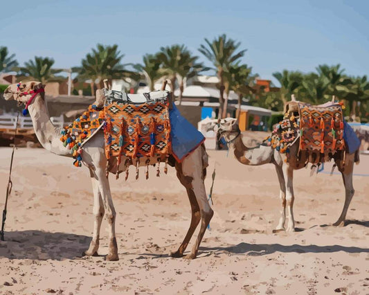 Malen nach Zahlen - Malen nach Zahlen - Kamele in Ägypten