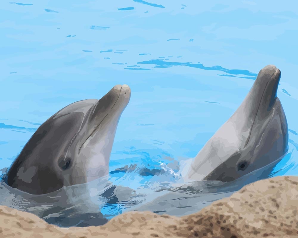 Malen nach Zahlen - Malen nach Zahlen - Schwimmende Delphine
