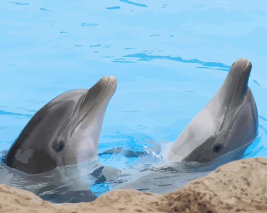 Malen nach Zahlen - Malen nach Zahlen - Schwimmende Delphine