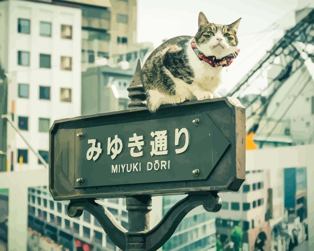 Malen nach Zahlen - Malen nach Zahlen - Katze auf dem Schild - Japan
