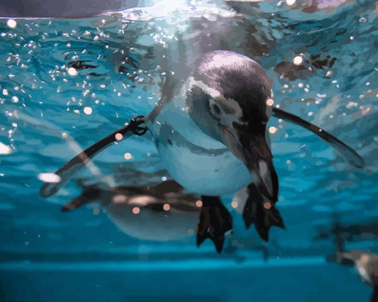Malen nach Zahlen - Malen nach Zahlen - Pinguin taucht ins Wasser