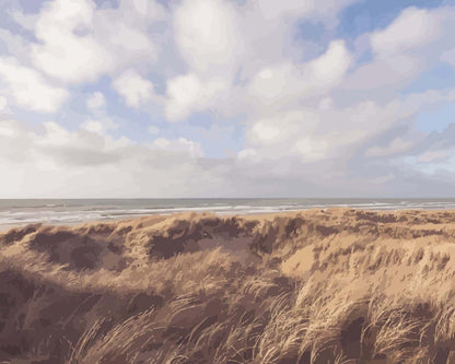 Malen nach Zahlen - Malen nach Zahlen - Sonniger Strand mit Sanddünen in Dänemark - Nordsee