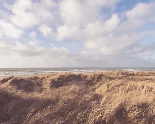 Malen nach Zahlen - Malen nach Zahlen - Sonniger Strand mit Sanddünen in Dänemark - Nordsee