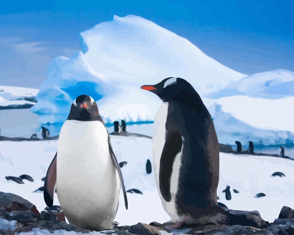 Malen nach Zahlen - Malen nach Zahlen - Zwei ruhende Pinguine
