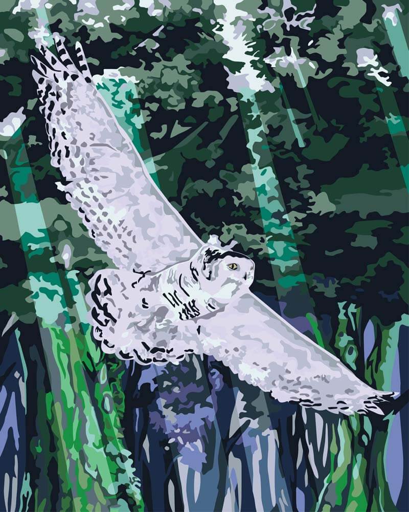 Malen nach Zahlen - Malen nach Zahlen - Eule im Anflug
