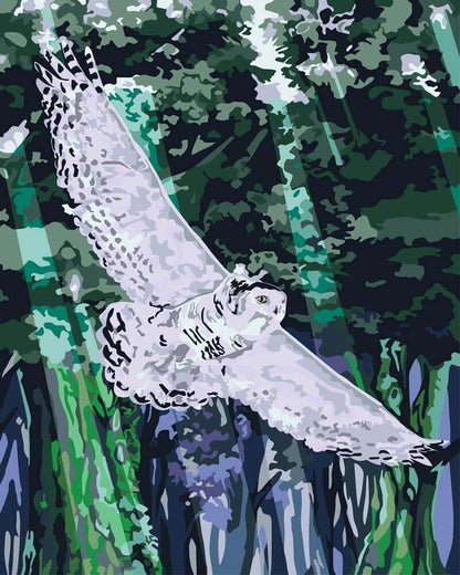 Malen nach Zahlen - Malen nach Zahlen - Eule im Anflug