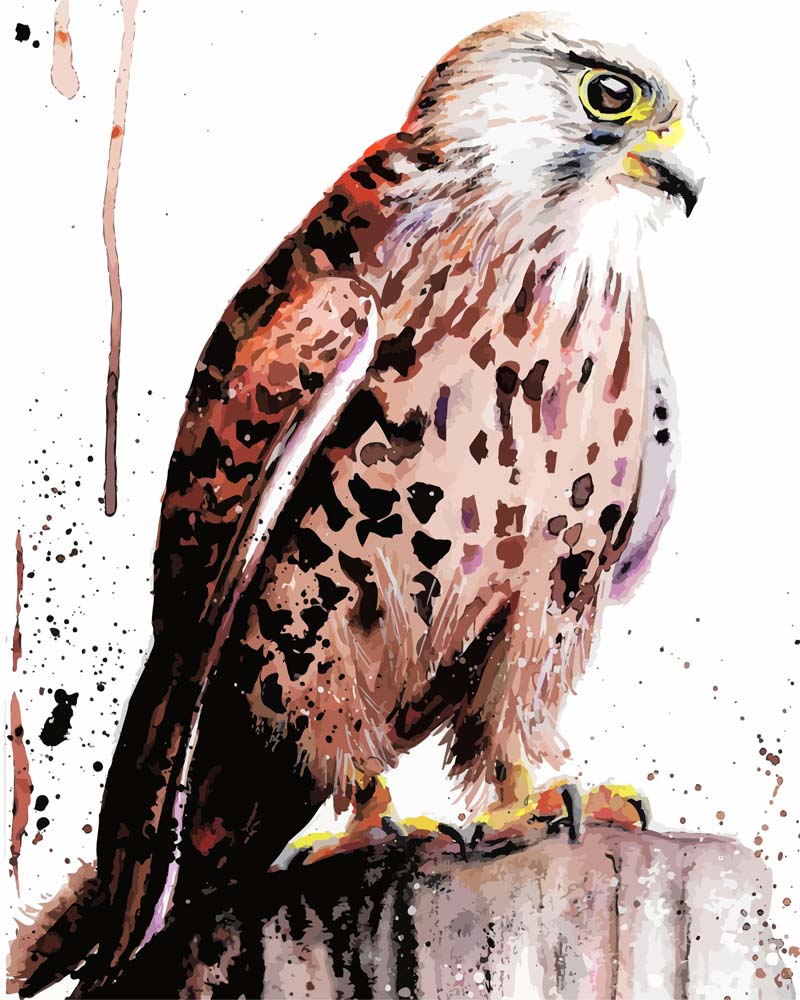 Malen nach Zahlen - Malen nach Zahlen - Turmfalke - by Tiny Tami