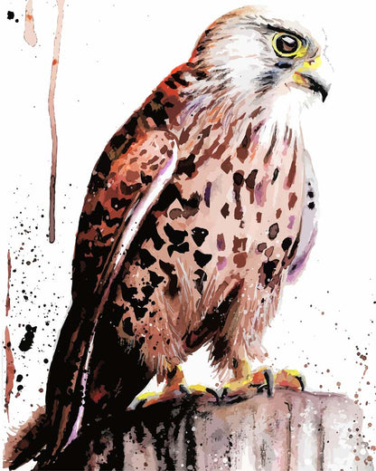 Malen nach Zahlen - Malen nach Zahlen - Turmfalke - by Tiny Tami